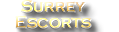 Pleasure Escort Zones